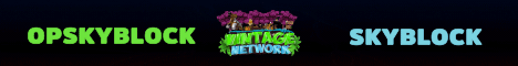 Vintage Network